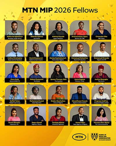 MTN fellows