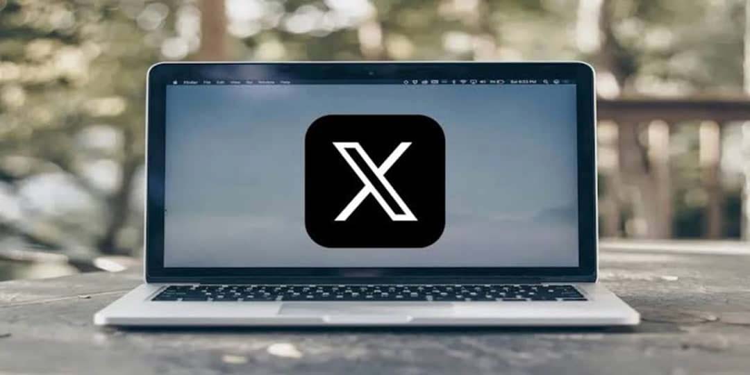 X Lapi